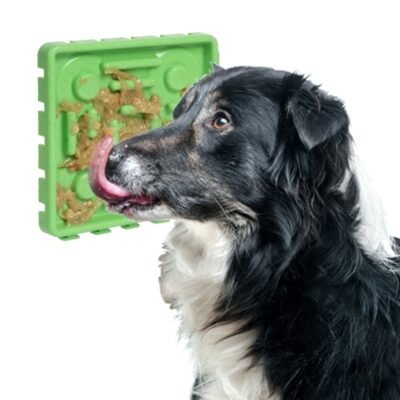 ALT: Dog using a lick mat attached vertically with suction cups